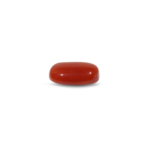 Loose Natural Red Coral 7.75 Carat Certified Wholesale Gemstone - Product Image 3