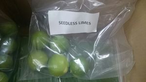 LIME/CITRON FRAIS PREMIUM POUR L'EXPORTATION-100% CHAUX VERT DE FRUITS FRAIS NATURELS DU VIETNAM - CARYLN - Product Image 2