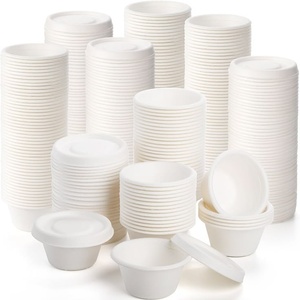 Bols et gobelets jetables 100 % biodégradables et compostables en bagasse, écologiques, pour crème glacée, desserts, sauces, et plats de fête modernes - Product Image 1