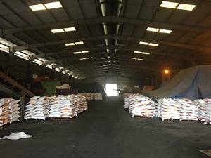 High Quality FMP Fused Calcium Magnesium <b>Phosphate</b> Granular <b>Fertilizer</b> Competitive Price Ball Shape Ceramics From Viet Nam - Product Image 3