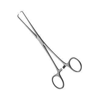 Pinza Tenaculum Schroeder Recta Pozzi 25 cm 10" Pinza Ginecológica Barrett de Acero Inoxidable 1 Unidad Instrumento Médico - Product Image 1