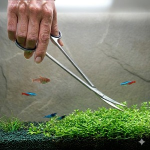 Tijeras para Acuario de 10 Pulgadas, Tijeras Curvas Largas de Acero Inoxidable, Suministro al por Mayor de Fábrica - Product Image 1