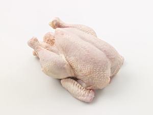 Poulet entier halal cru, qualité IQF A, surgelé, approvisionnement en vrac, origine Afrique du Sud - Product Image 6