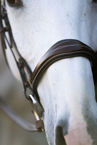 Bridon d'équitation en cuir anglais avec frontal en cristal, rênes assorties, muselet rembourré, sangles réglables, équipement équestre haut de gamme - Product Image 2