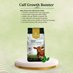 Potenciador del Crecimiento de Terneros 50kg – Alimento Avanzado para <span class=keywords><strong>Ganado</strong></span> para Huesos Fuertes y Desarrollo Rápido - Product Image 3