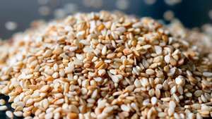 Caña de Ratán Natural de Primera Calidad, Color Natural, Semillas Secas y Limpias para Uso Industrial en Invernaderos, Empaque Personalizado - Product Image 6