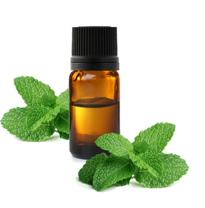 น้ำมันเปปเปอร์มินต์ธรรมชาติ Mentha piperita น้ำมันหอมระเหย ผู้จัดจำหน่ายขายส่ง - Product Image 3
