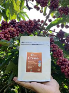 Grains de café robusta torréfié foncé de haute qualité avec goût fruité OEM/ODM vente en gros Machines à expresso d'usine du Vietnam - Product Image 6