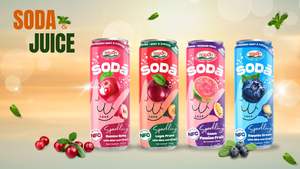Délicieuse boisson gazeuse fruitée 320ML, sodas en conserve avec jus, marque privée OEM, échantillon gratuit, usine de boissons au Vietnam - Product Image 6