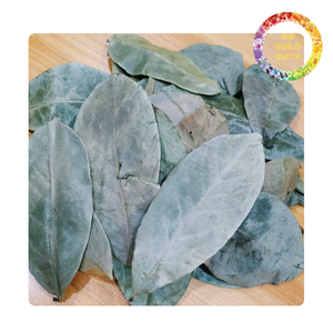 Bulk Supply Dried Soursop Leaves for Herbal <b>Tea</b> Natural Graviola Leaves - Product Image 6