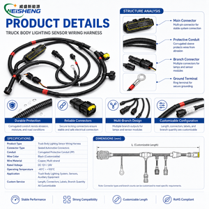 Aangepaste vrachtwagenbedrading, elektrische verlichting, sensorkabel, OEM, ODM - Product Image 3