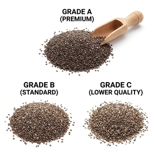 Export Ready Chia <b>Seeds</b> Container Load Standard Grade certified organic agricultural product for premium health food markets - Product Image 4