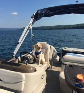 Oferta Especial: Nuevo Diseño Moderno para Yates con Vistas Panorámicas y Amenidades de Lujo - Product Image 4