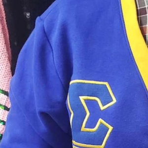 Sigma Gamma Rho <b>Cardigan</b> Sweater Custom Greek Letter Knitwear Button Front Long Sleeve Casual Fashion <b>Cardigan</b> Womens Streetwear - Product Image 5