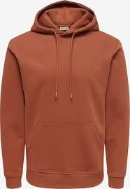 Sudadera con Capucha de Forro Polar Grueso para Hombre con Logotipo Personalizado, Color Naranja Óxido Liso, Estilo Holgado, Ropa Urbana, Sudadera Lisa OEM - Product Image 2