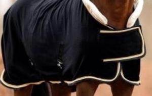 Mantas de Invierno para Caballos, Alta Calidad, Servicio OEM, Logotipo Personalizado, Equipo Ecuestre, Mantas de Lana Transpirables - Product Image 5