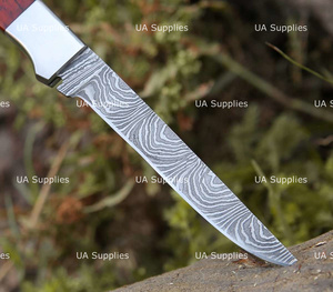 Couteau de chef à lame pleine de 12 pouces en acier Damas forgé à la main de haute qualité, ultra-affûté, avec manche en bois naturel de Padauk rouge, OEM - Product Image 2