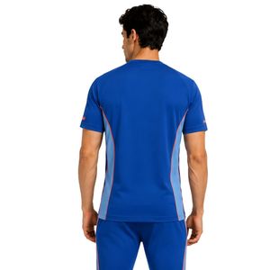 T-shirt de sport pour homme, bleu royal et bleu ciel, à séchage rapide, pour la course à pied, la gym et l'entraînement, personnalisable - Product Image 2