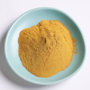 Extrait végétal de papaïne en poudre ultra-raffinée, enzyme de qualité supérieure pour la décomposition efficace des protéines, le soutien digestif et la tendreurs de la viande - Product Image 3