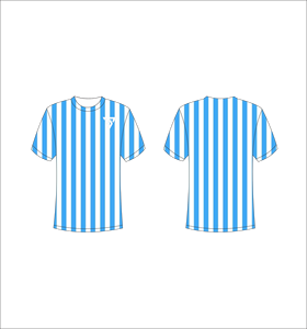 T-shirt à manches courtes rayé pour homme, col rond, coupe classique, imprimé bleu et blanc, logo sur le devant - Product Image 1