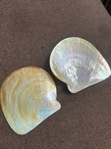 Offre Spéciale BON MARCHÉ Nacre Cuillère En Gros Exquise Nacre Nacre Caviar Cuillère avec gravure logo - Product Image 6