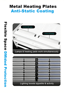 Fabrika Özel Üretim Hızlı Teslimat Sürüngen Rafı Yılan Gecko Akrilik Kutu Kolay Montaj Alet Gerektirmez Stokta Mevcut Sürüngen Gönderimi - Product Image 5