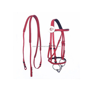 Brida de caballo de PVC con rieles, producto de alta calidad, equipo ecuestre, Adam, venta al por mayor internacional - Product Image 1