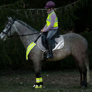 แผ่นรองอานม้าคุณภาพสูงแบบกำหนดเองพร้อมซับในขนแกะ อุปกรณ์สำหรับแข่งม้า แผ่นรองอานม้าลดราคา - Product Image 2