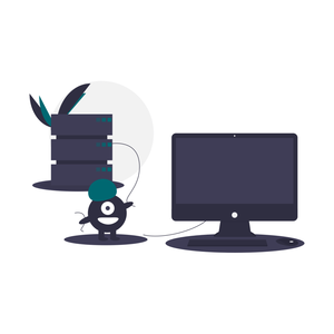 Servizi IT per Aziende – Personalizzati con bit-feed - Product Image 2