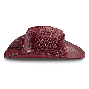 Sombreros Vaqueros Casuales de Invierno para Hombre con Rayas Estilo Western Personalizadas - Logotipo y Colores Impresos por Transferencia Térmica - Product Image 1