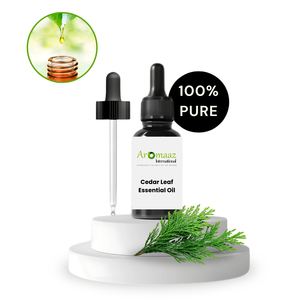 น้ำมันใบตูจาซีดาร์บริสุทธิ์ 100% จาก Aromaaz International ซีดาร์ขาวเหนือ ตูจาตะวันออก กลั่นด้วยไอน้ำจากธรรมชาติ เหมาะสำหรับทุกคน - Product Image 2