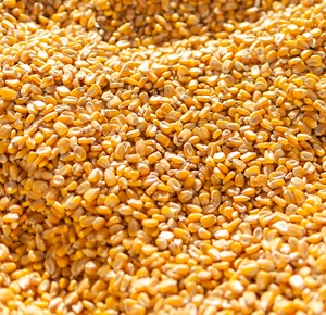 ข้าวโพดเหนียวออร์แกนิกสีเหลืองทองแห้ง 100% ธรรมชาติ ความชื้น 11% อายุการเก็บรักษา 12-18 เดือน 50 กก. 25 ตัน - Product Image 6