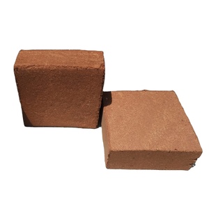 COCO PEAT Productos agrícolas para agricultores indios - Product Image 1
