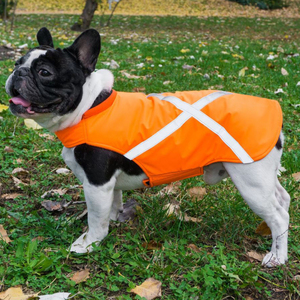 Gilet de sécurité réfléchissant haute visibilité pour chien, imperméable, orange, pour chiens de petite, moyenne et grande taille, vente en gros OEM - Product Image 4