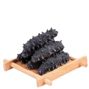 Compradores de pepino de mar, pepino de mar seco - Product Image 1