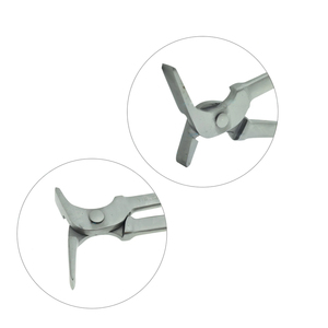Nouveau design Pince à sabots en acier inoxydable, outil de fermeur, instrument vétérinaire, extracteur de sabots, faible MOQ - Product Image 2
