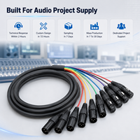 Fabricante OEM ODM, Cable de Audio Profesional XLR de 8 Canales, 3 Pines, Macho a Hembra, con Código de Color, para Mezcladora de Estudio y Escenario