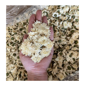 Fleurs de Camomille Séchées Premium 2026 – Thé Herbal en Gros – Fournisseur Vietnamien pour Marques de Thé, Magasins d'Aliments Santé et Importateurs - Product Image 2