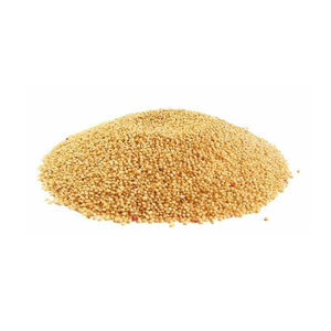 Wholesale <b>Amaranth</b> <b>Seeds</b> | Organic Gluten-Free Superfood Grain for Food Industry | Bulk Supplier - Product Image 1