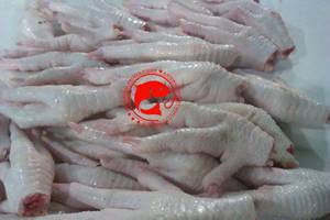 ตีนไก่แช่แข็งทั้งตัว ทำความสะอาดแล้ว คุณภาพพรีเมียม โครงสร้างแข็งแรง พื้นผิวเรียบเนียน เนื้อไก่ธรรมชาติ รสชาติสม่ำเสมอ ขนาดมาตรฐาน - Product Image 6
