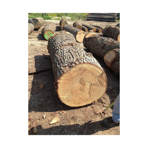 Troncos de madera de roble al por mayor con diámetro consistente y estructura de grano recto - Product Image 2