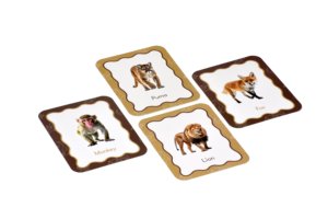 Toysaga Cartes Flash Animaux Terrestres, Ensemble de 30 Cartes Montessori Imperméables pour les Tout-Petits de 2 Ans et Plus - Product Image 2