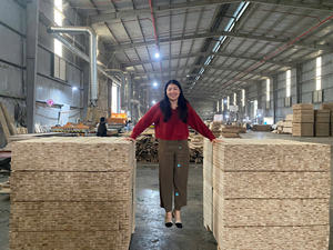 Proveedor de Palets de Madera Contrachapada LVL, Materiales de Madera Natural, Hechos en Vietnam con Certificado ISPM15, Palets a Precio Económico - Product Image 2