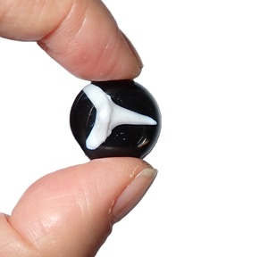 Cabujón Redondo de Plástico con Espécimen Real de Dientes de Tiburón, 19x19 mm, Fondo Plano Negro, para Manualidades y Joyería - Product Image 3