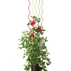 <b>tomato</b> spiral plant stake wire/steel <b>tomato</b> spiral <b>support</b> rod - Product Image 1