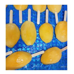 มะม่วงแช่แข็งคุณภาพสูงสำหรับผลิตภัณฑ์นม ไส้ขนม และของหวาน - Product Image 5