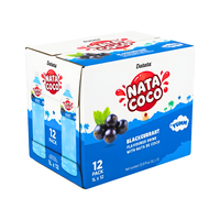 HOTSELLER OEM/ODM Datafa Nata De Coco Mango smaak Versgeperst 320ml fles Fruitsap Puree Privélabel Gratis monster