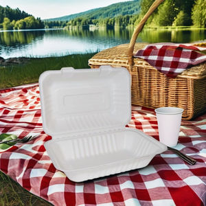 9 pouces à clapet 100% naturel biodégradable écologique Bagasse alimentaire conteneur couvercle échantillon gratuit jetable une pièce boîte à lunch - Product Image 3