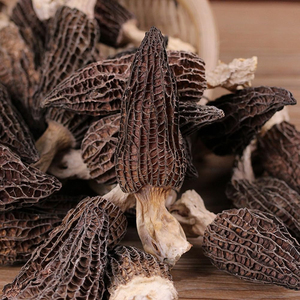 Champignons Morchella noirs biologiques sauvages séchés 10 kg crus naturels - Product Image 2