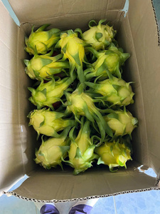 Dragon <span class=keywords><strong>Fruit</strong></span> Jaune Frais 100% Naturel Marque VIETFAP Grade A Qualité Export Disponible en OEM/ODM Boîte Carton 2kg/5kg/10kg - Product Image 2